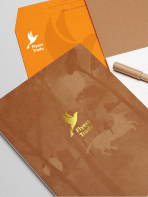 飛鳥貿(mào)易LOGO設(shè)計(jì)