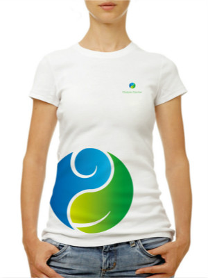 武城中醫(yī)院LOGO設(shè)計(jì)