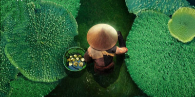 《風(fēng)味人間2》宣傳海報設(shè)計，讓你饞到流口水