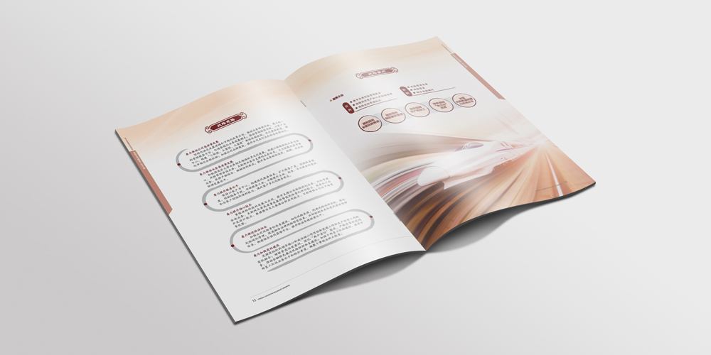 英達(dá)企業(yè)文化宣傳冊設(shè)計(jì)保險(xiǎn)行業(yè)案列企業(yè)簡介_北京宣傳冊設(shè)計(jì)_高瑞品牌
